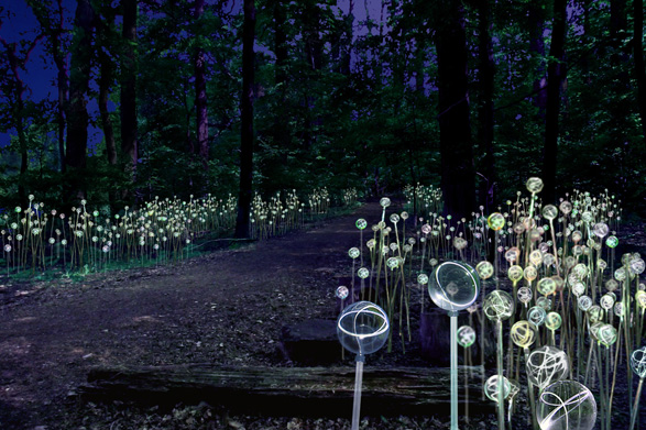LIGHT! at Longwood Gardens