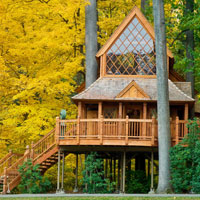 Longwood Gardens' treehouse in the fall.