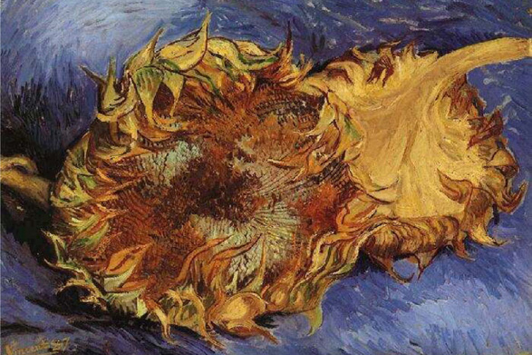 Van Gogh Up Close